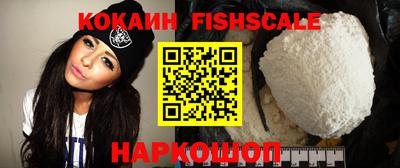 крисы Шахты