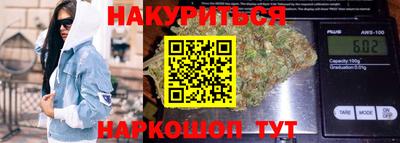 крисы Шахты