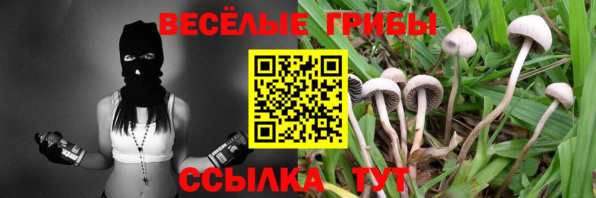 Галлюциногенные грибы MAGIC MUSHROOMS  Галлюциногенные грибы ЛСД  Вход с VPN  Усинск 